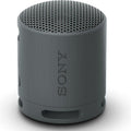 Sony XB100