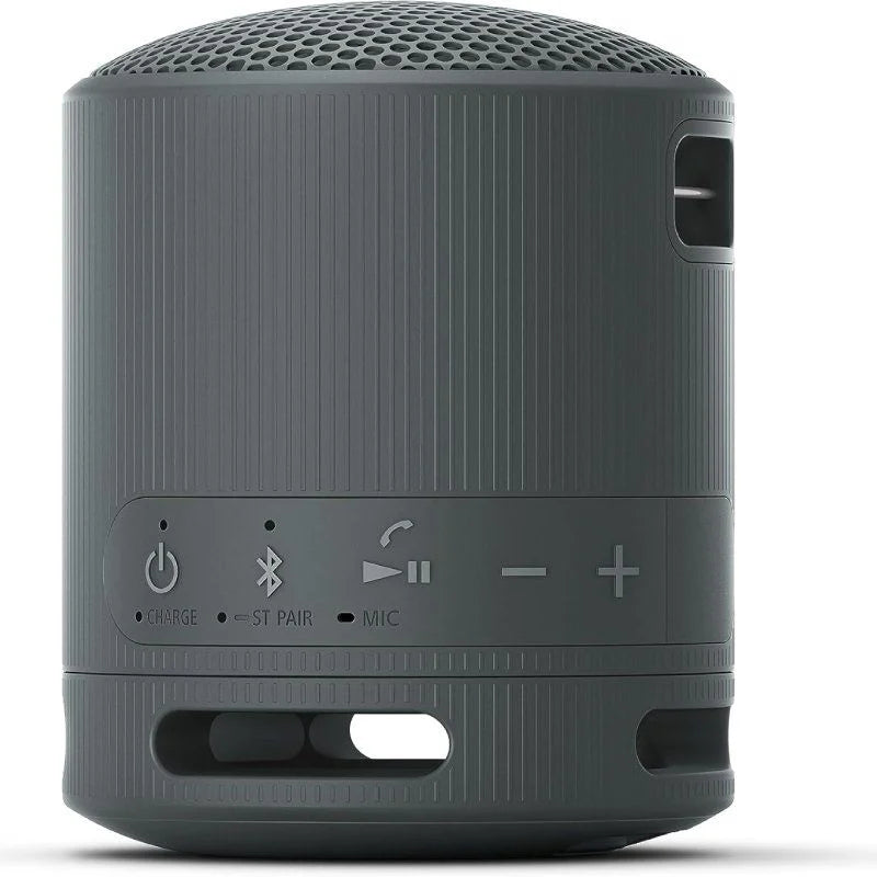 Sony XB100