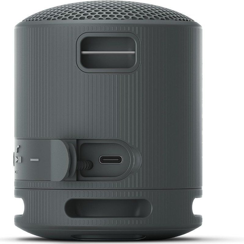 Sony XB100